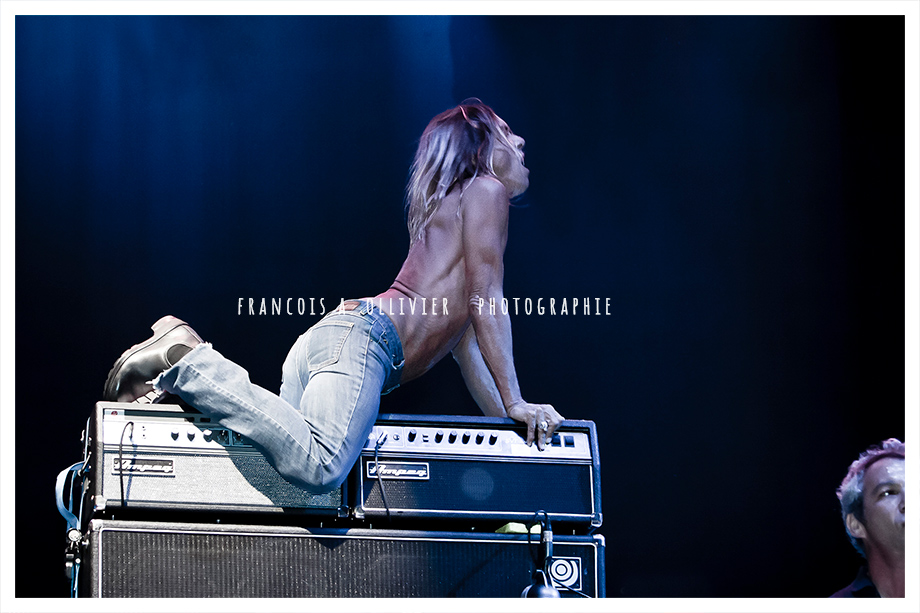 Iggy pop, FIB 2007 Spain Par François Ollivier