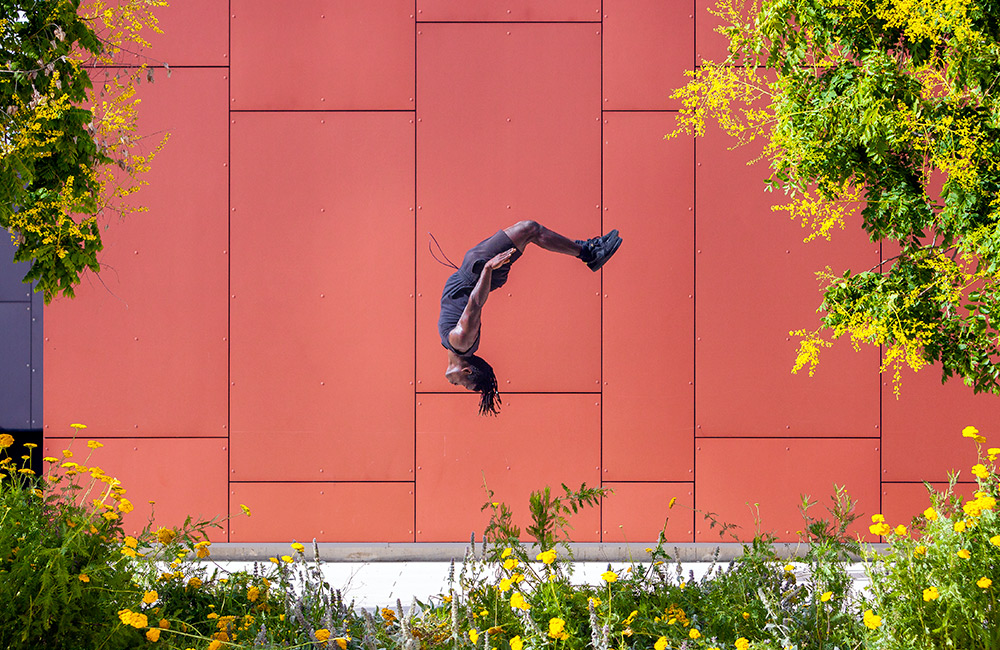 ENC-cirque-abonnedistance-par-francois-ollivier